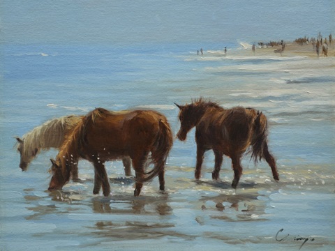 Chincoteague Ponies