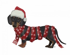 Christmas Des - Dachshund Snowflake Scarf