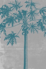 Chromatic Palms VIII