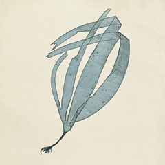 Chromatic Seaweed II