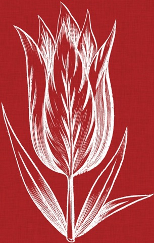 Chromatic Tulips VIII