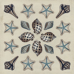 Coastal Kaleidoscope III