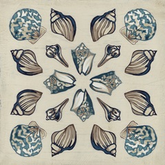 Coastal Kaleidoscope IV