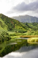 Coastal Marsh Triptych I