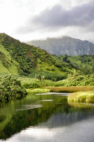 Coastal Marsh Triptych I