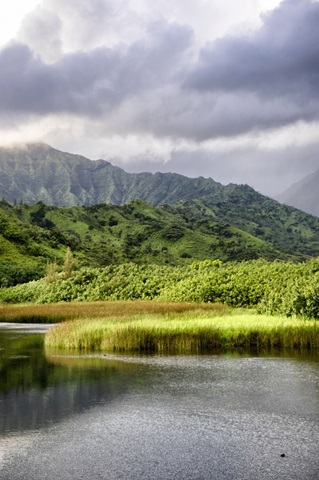 Coastal Marsh Triptych II