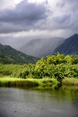 Coastal Marsh Triptych III