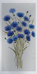 Cornflower Patch I