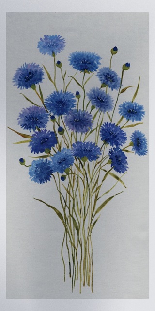 Cornflower Patch I