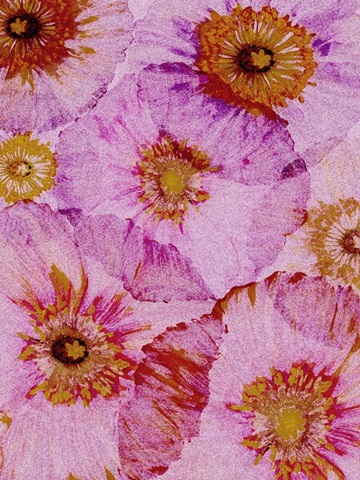 Crepe Paper Flowers I