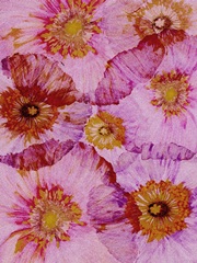 Crepe Paper Flowers II