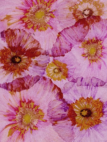 Crepe Paper Flowers II