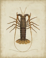 Crustaceans II