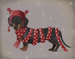 Dachshund and Long Scarf