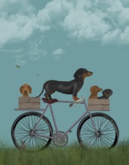 Dachshunds on Bicycle