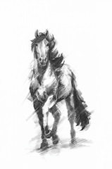 Dynamic Equestrian I