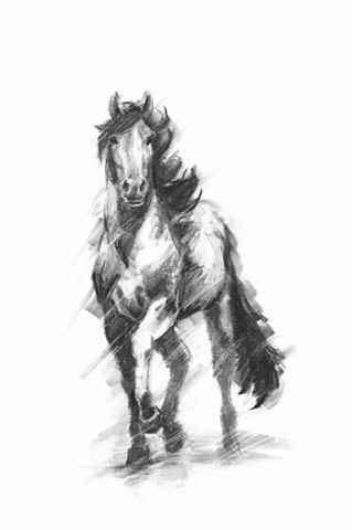 Dynamic Equestrian I