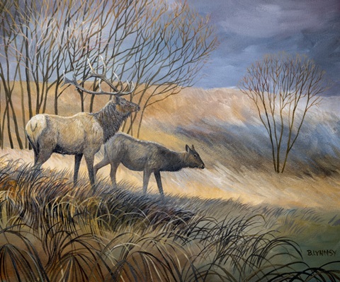 Elk Journey I