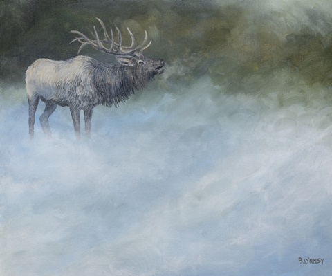 Elk Journey II
