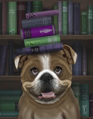 English Bulldog And Books