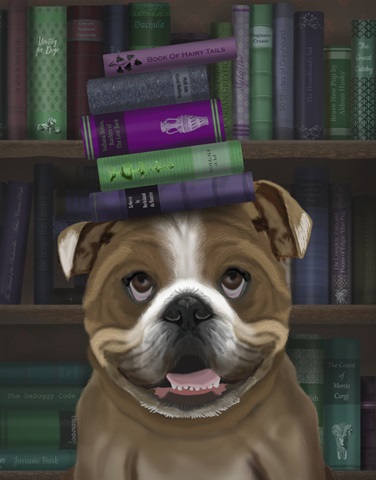 English Bulldog And Books
