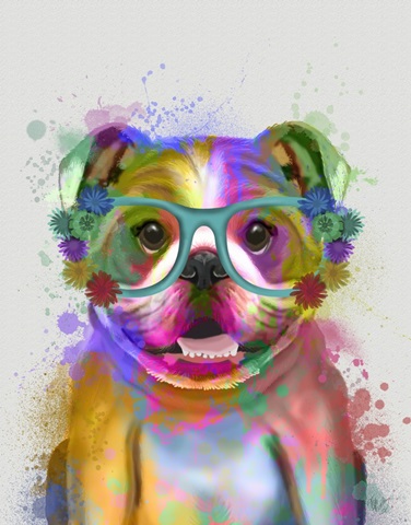 English Bulldog Rainbow Splash