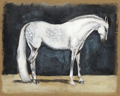 Equestrian Studies V