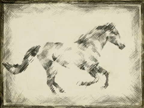 Equine Study I