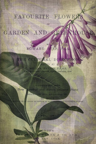 Favorite Flowers III