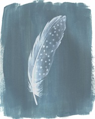 Feathers on Dusty Teal III