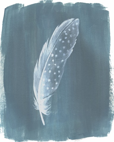 Feathers on Dusty Teal III