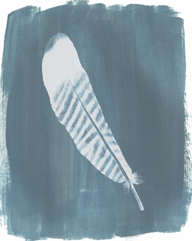 Feathers on Dusty Teal VI