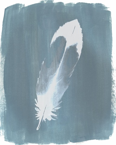 Feathers on Dusty Teal VII