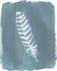 Feathers on Dusty Teal VIII