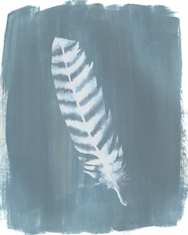 Feathers on Dusty Teal VIII