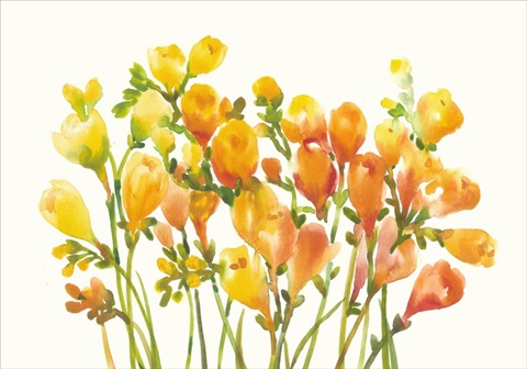Freesia I