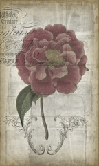 French Floral III