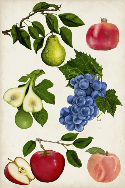 Fruit Collection I
