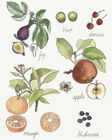 Fruit Medley I