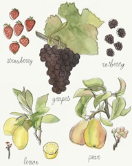 Fruit Medley II