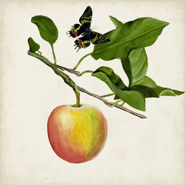 Fruit with Butterflies IV