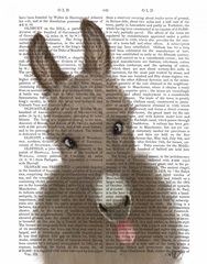 Funny Farm Donkey 2 Book Print