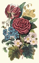 Garden Gathering III