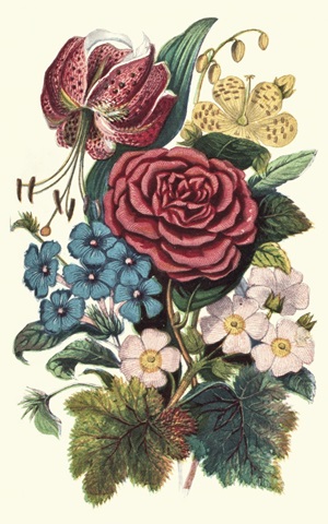 Garden Gathering III