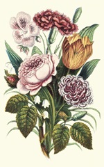 Garden Gathering VIII