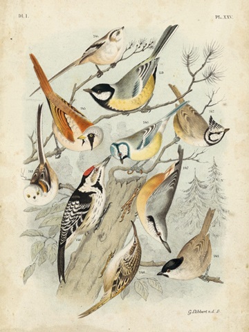 Gathering of Birds II
