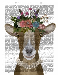 Goat Bohemian 3 Book Print