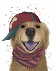 Golden Retriever and Baseball Cap