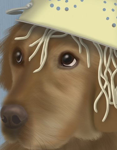 Golden Retriever and Spaghetti