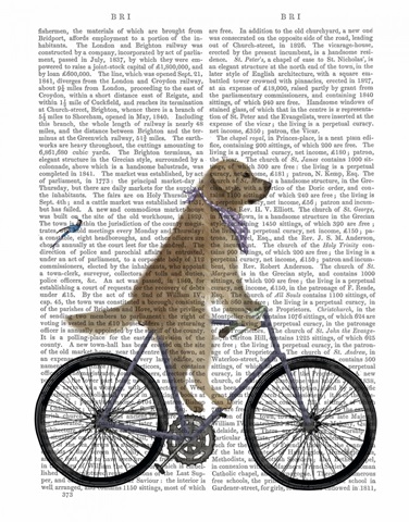 Golden Retriever Bicycle